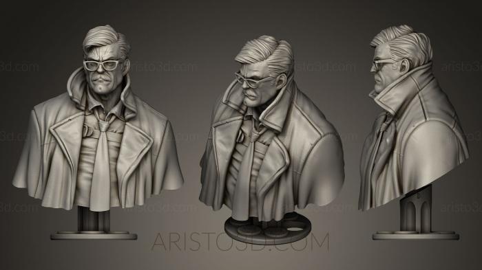 Busts and bas-reliefs of famous people (BUSTC_0114) 3D model for CNC machine